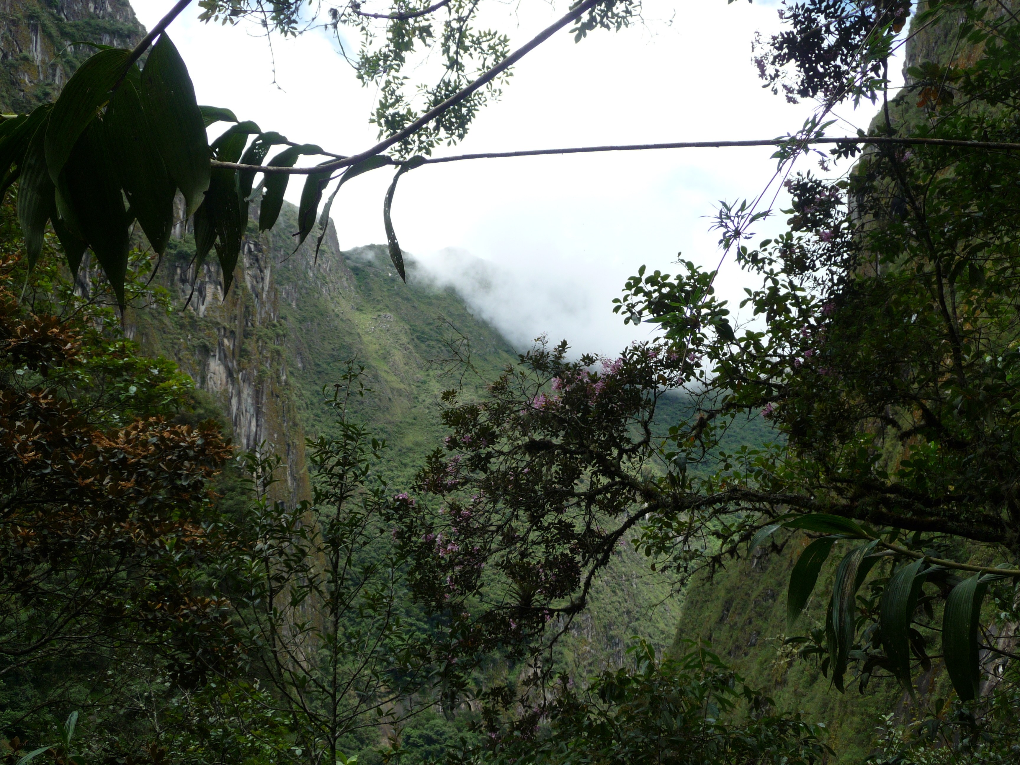 Machu Picchu mountain view