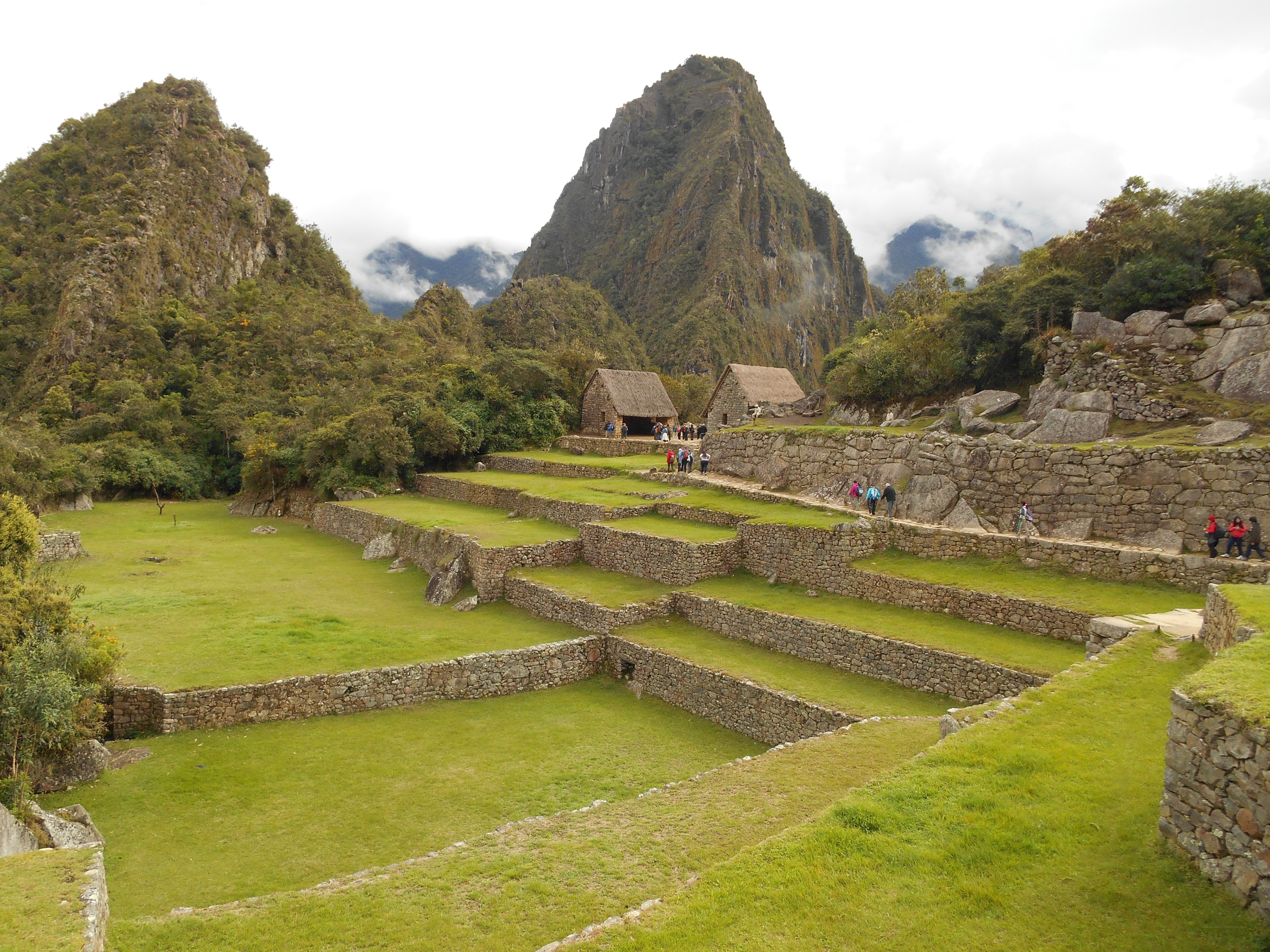 Machu Picchu terraces