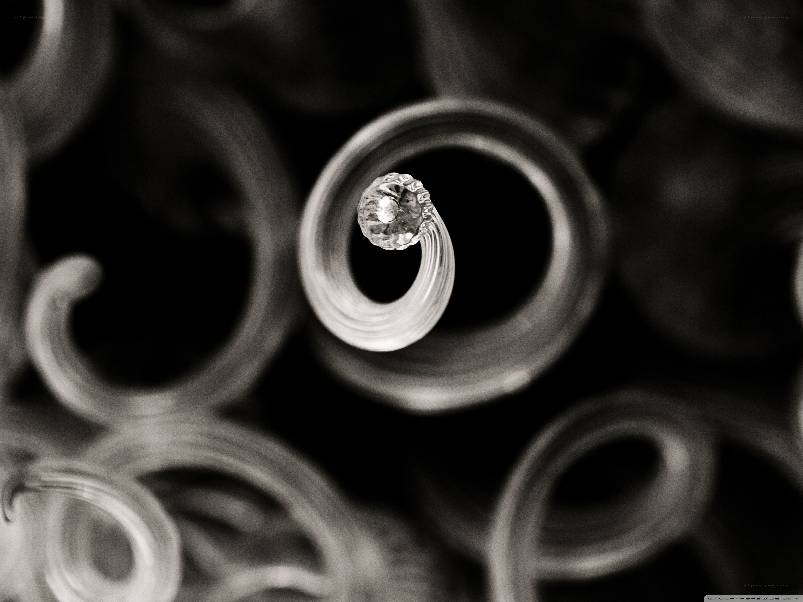 macro of glass spirals
