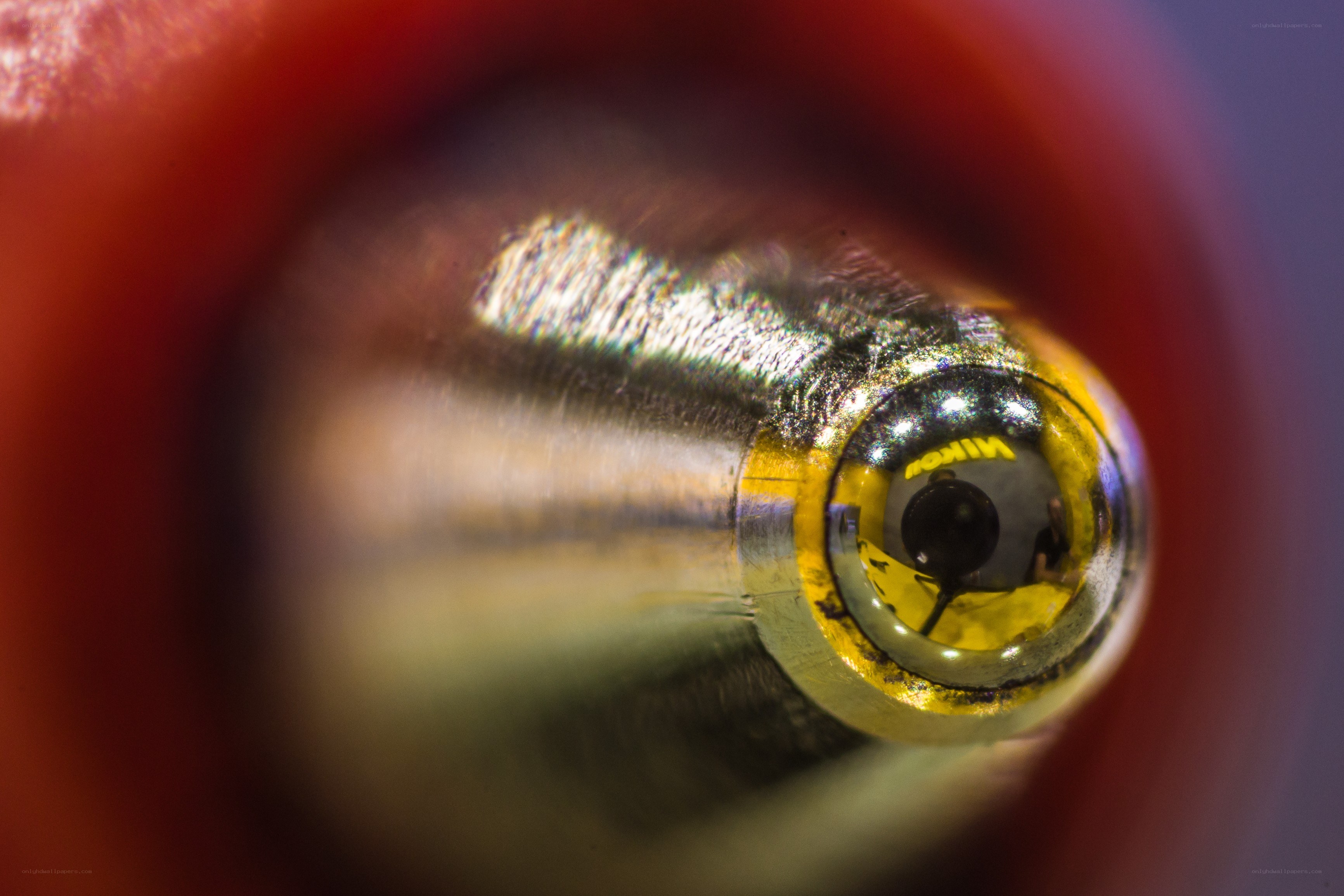 macro of pen tip