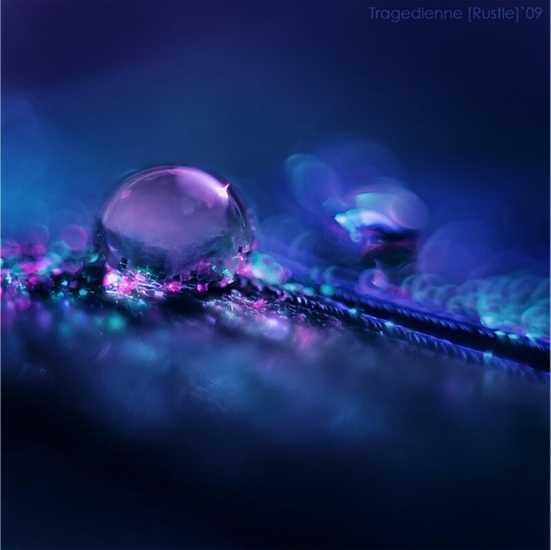 Macro Water Droplet