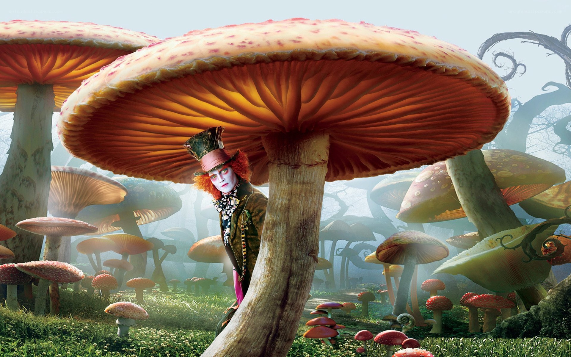 Mad Hatter in mushroom forest