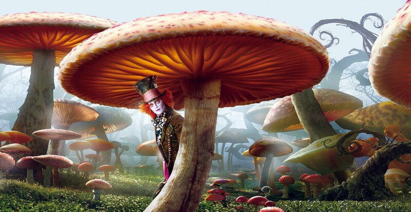 Mad Hatter in mushroom forest