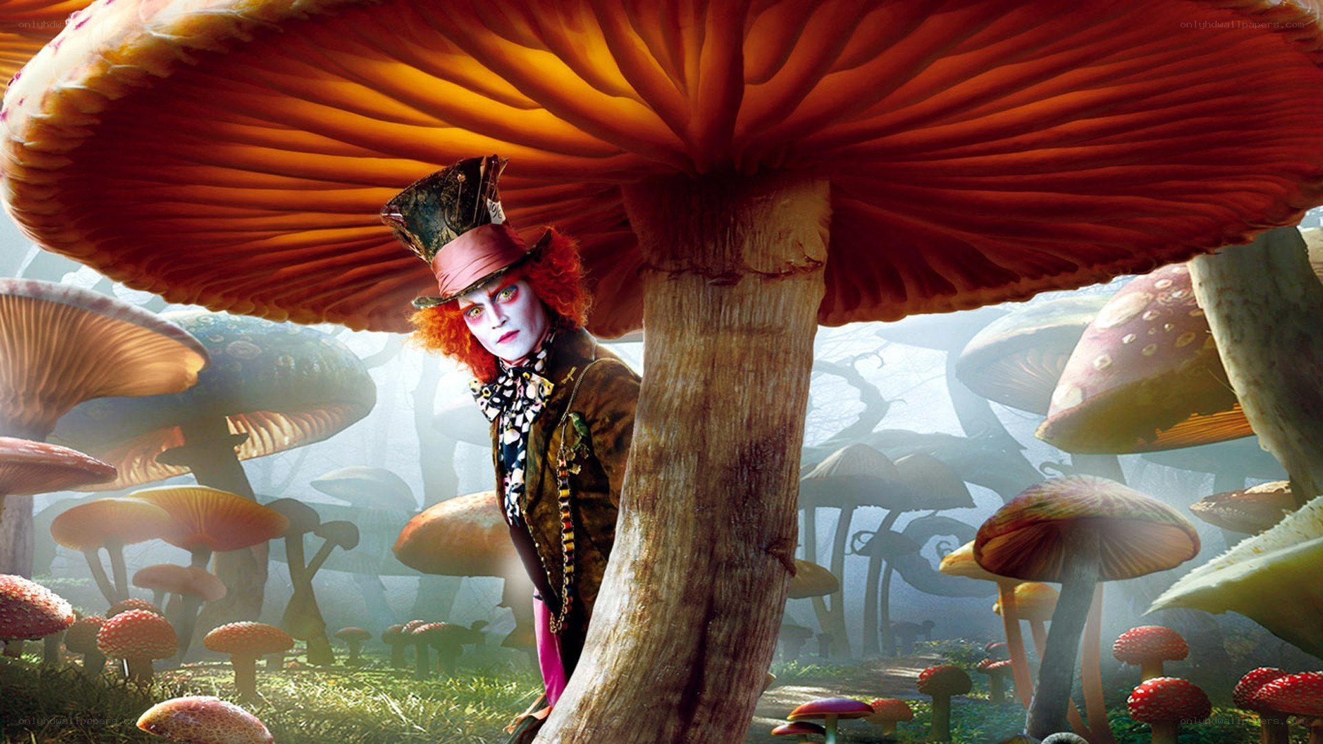 Mad Hatter in mushroom forest