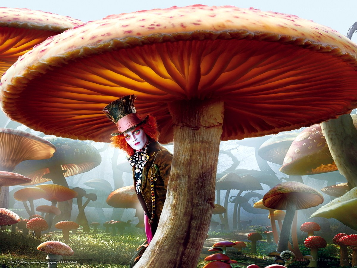 Mad Hatter in mushroom forest
