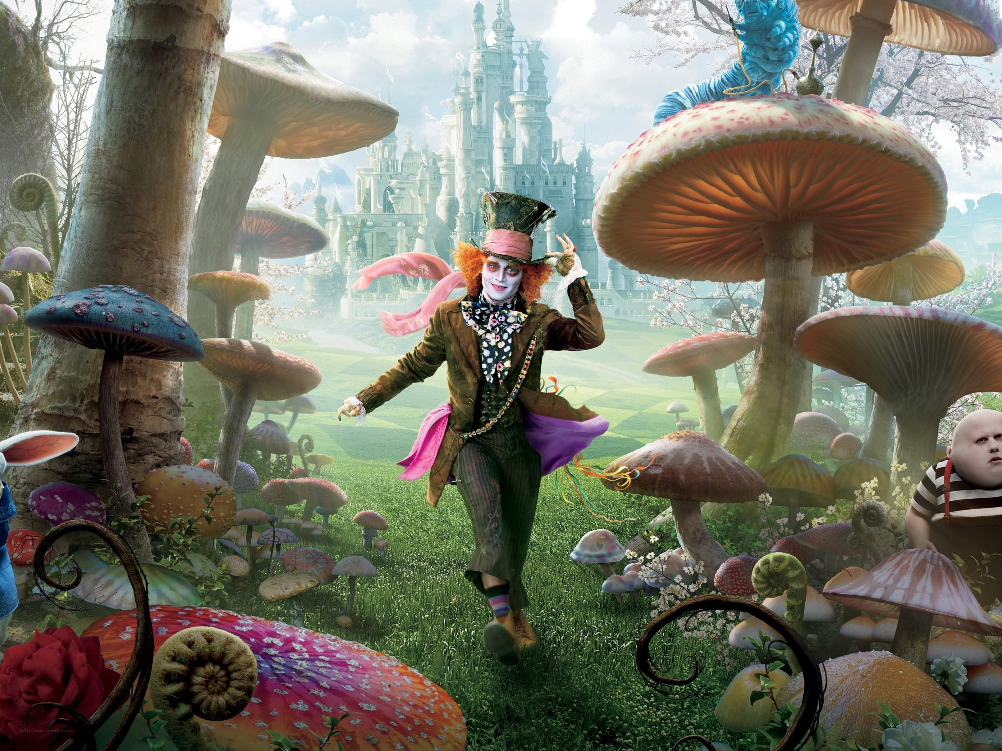 Mad Hatter in Wonderland