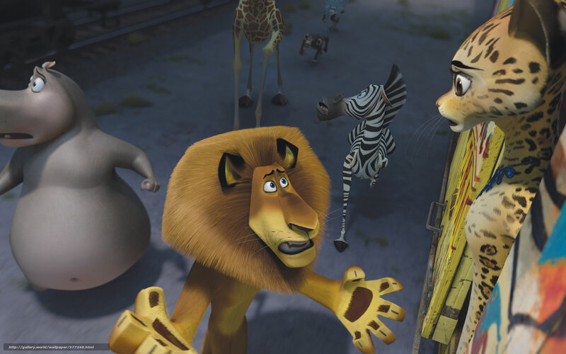 Madagascar characters in action