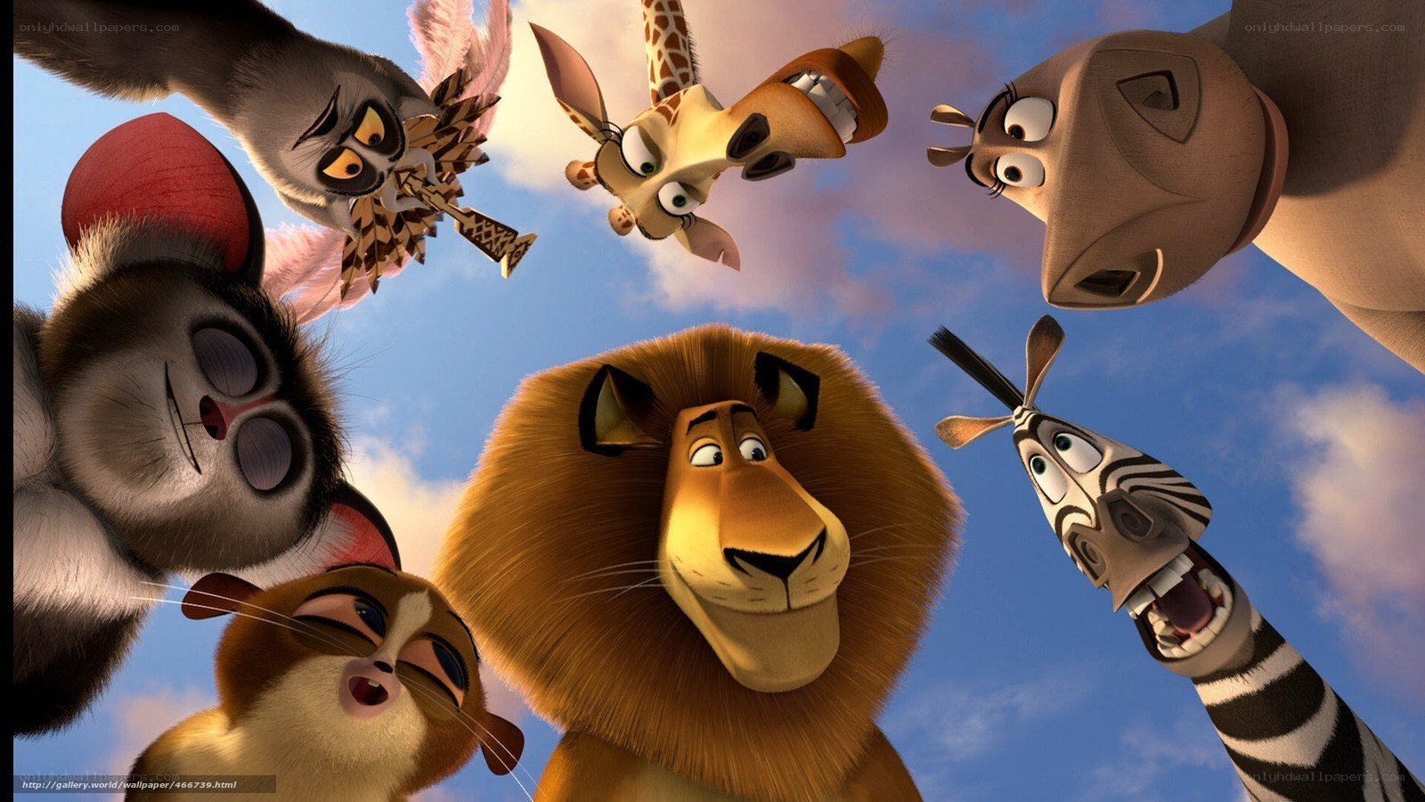 Madagascar characters looking up