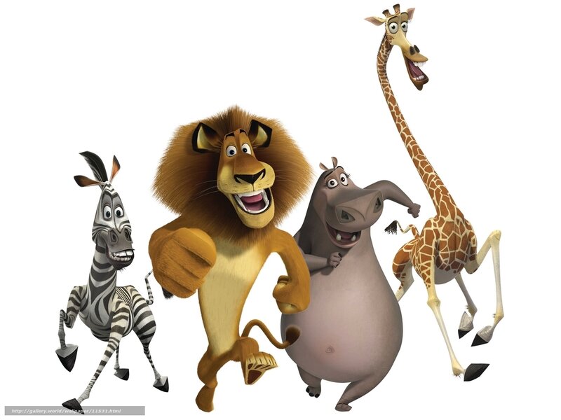 Madagascar characters running