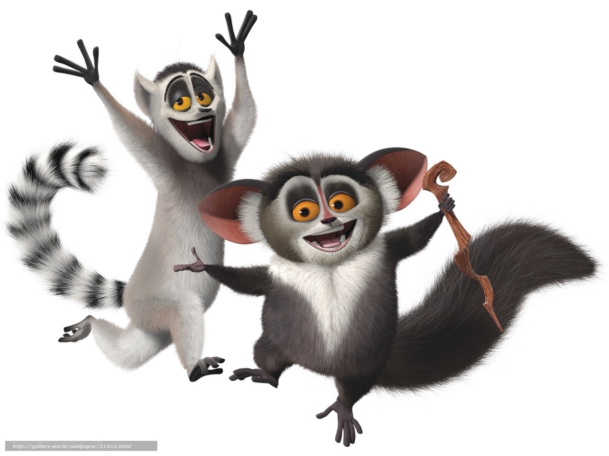 Madagascar lemurs jumping