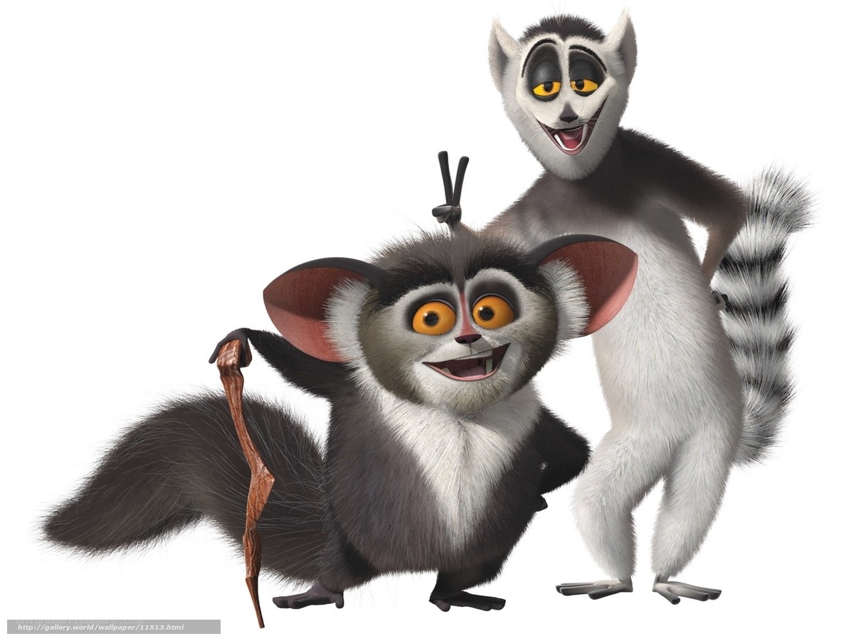 Madagascar Lemurs