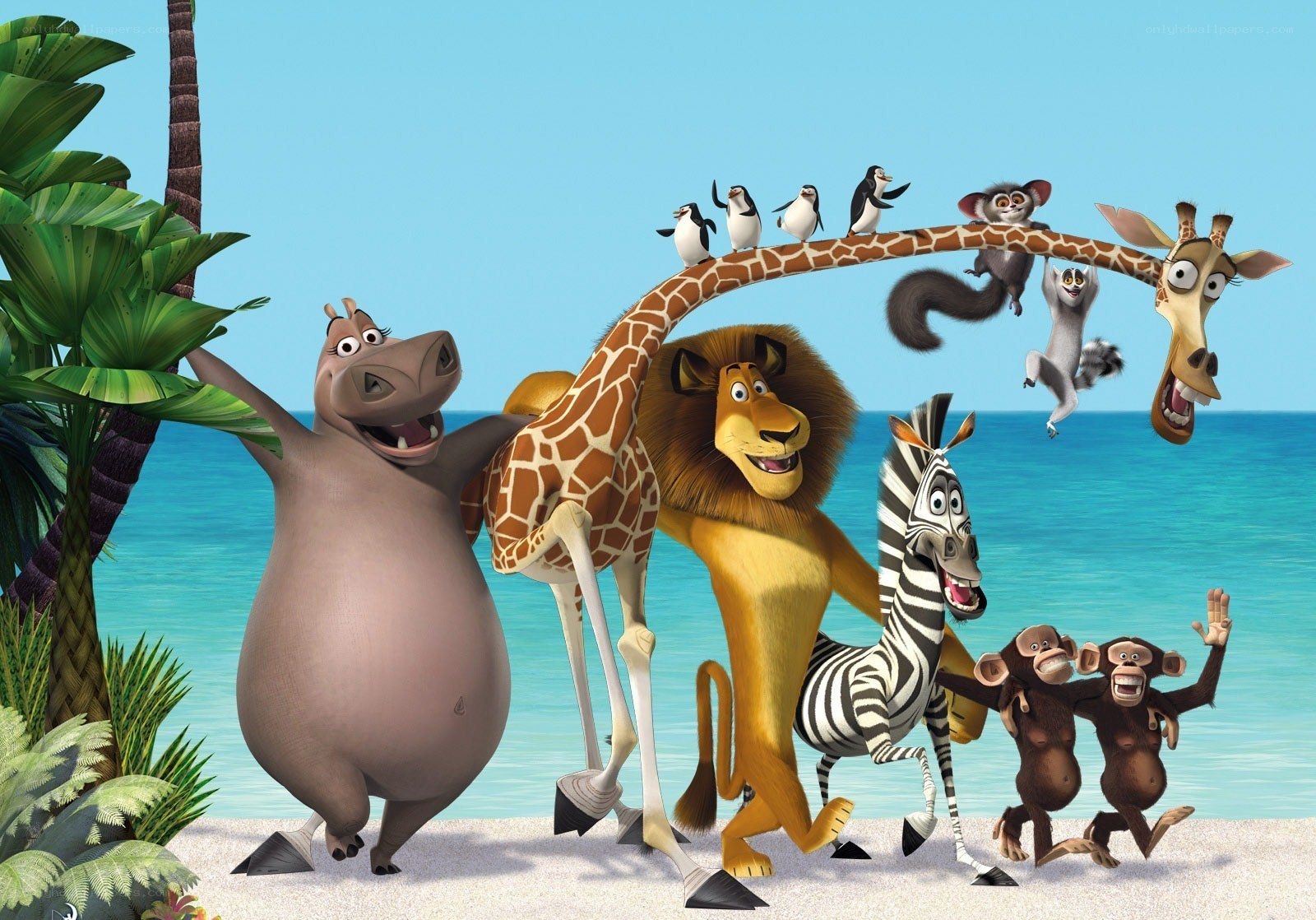Madagascar movie characters on beach