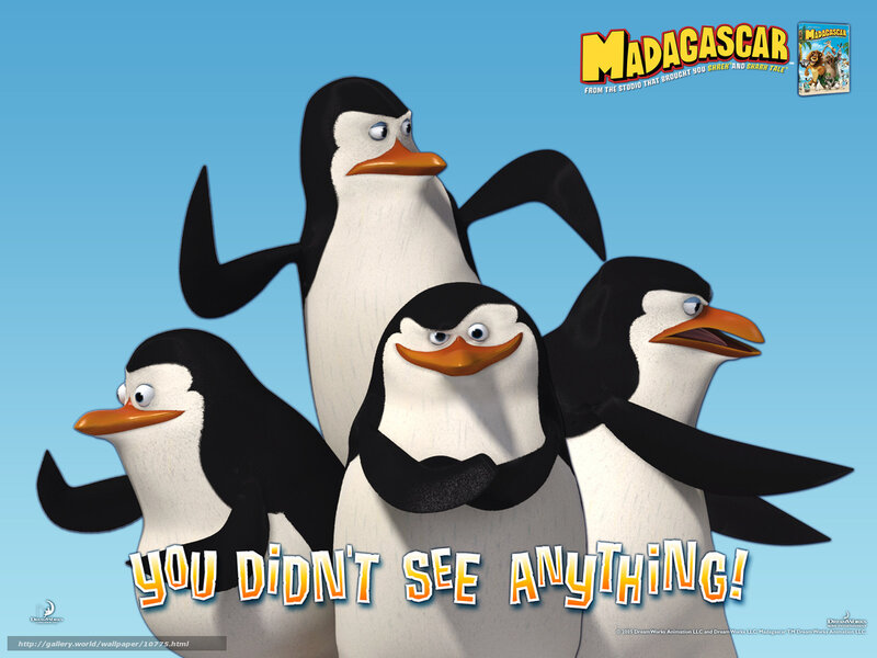 Madagascar penguins wallpaper
