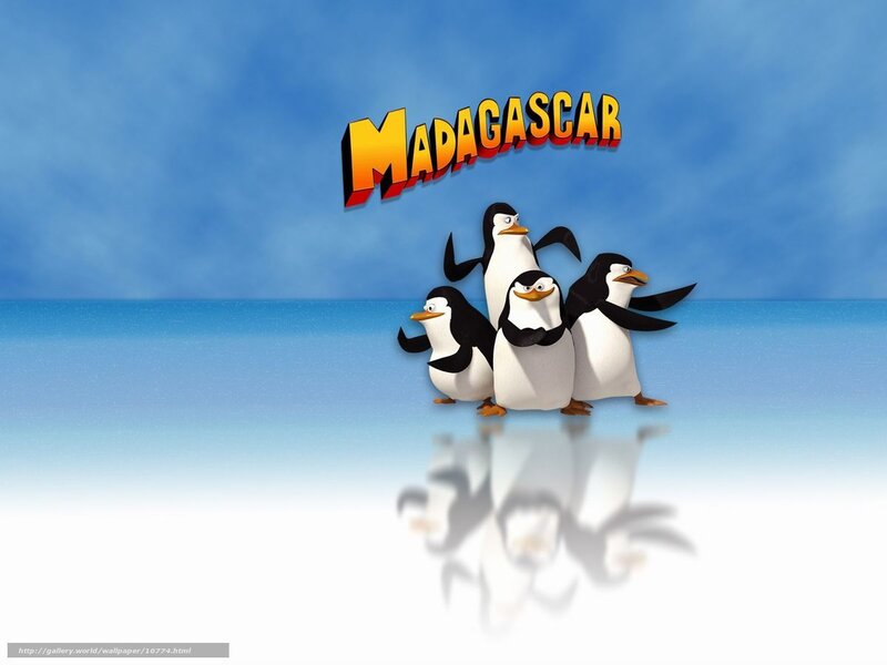 Madagascar penguins wallpaper