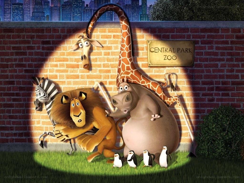 Madagascar Zoo Escape