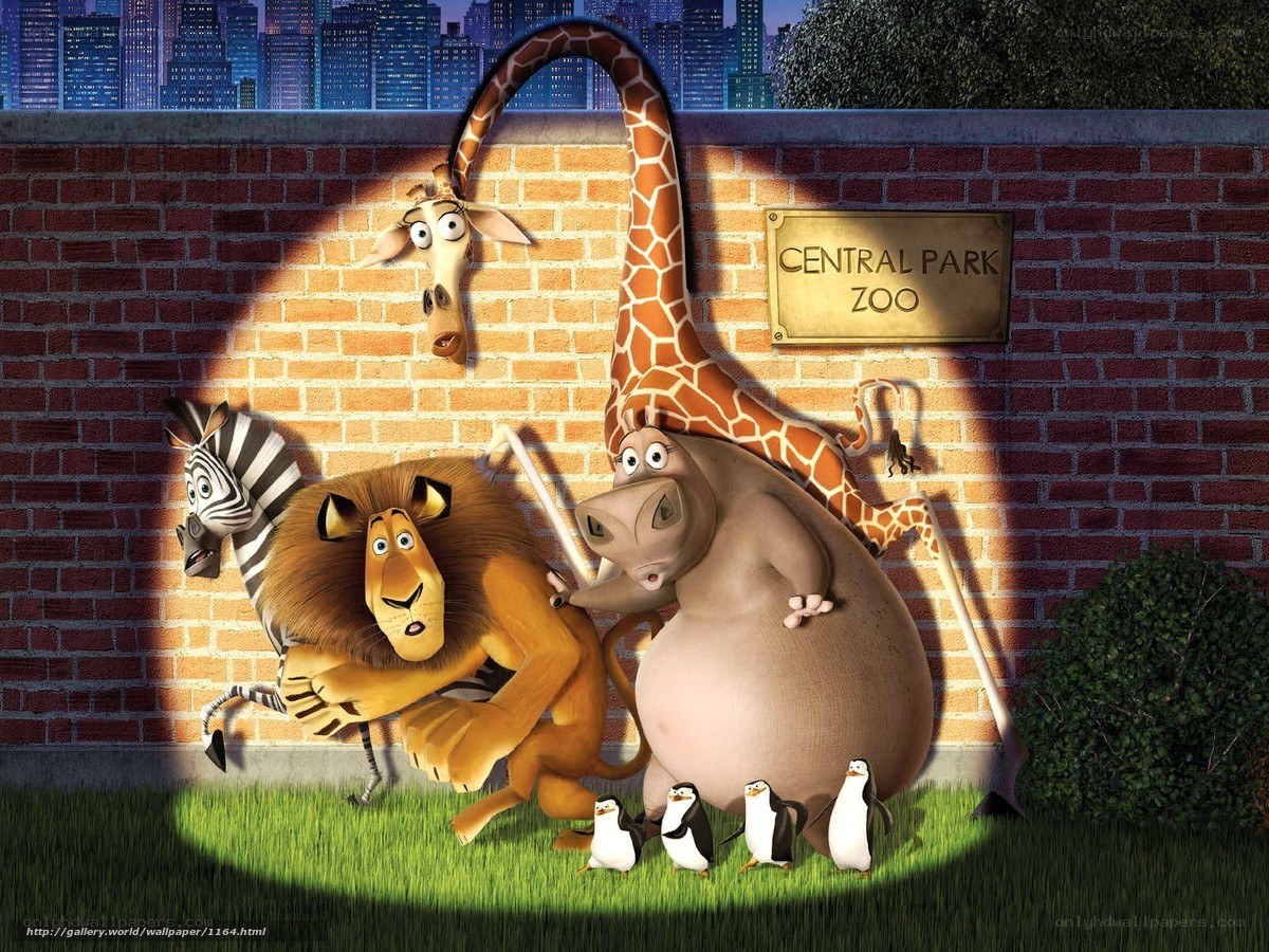 Madagascar Zoo Escape