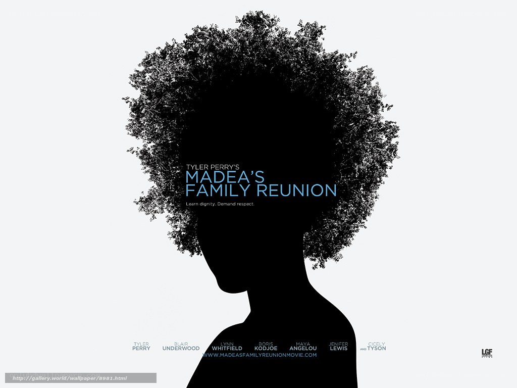 Madea's Family Reunion poster