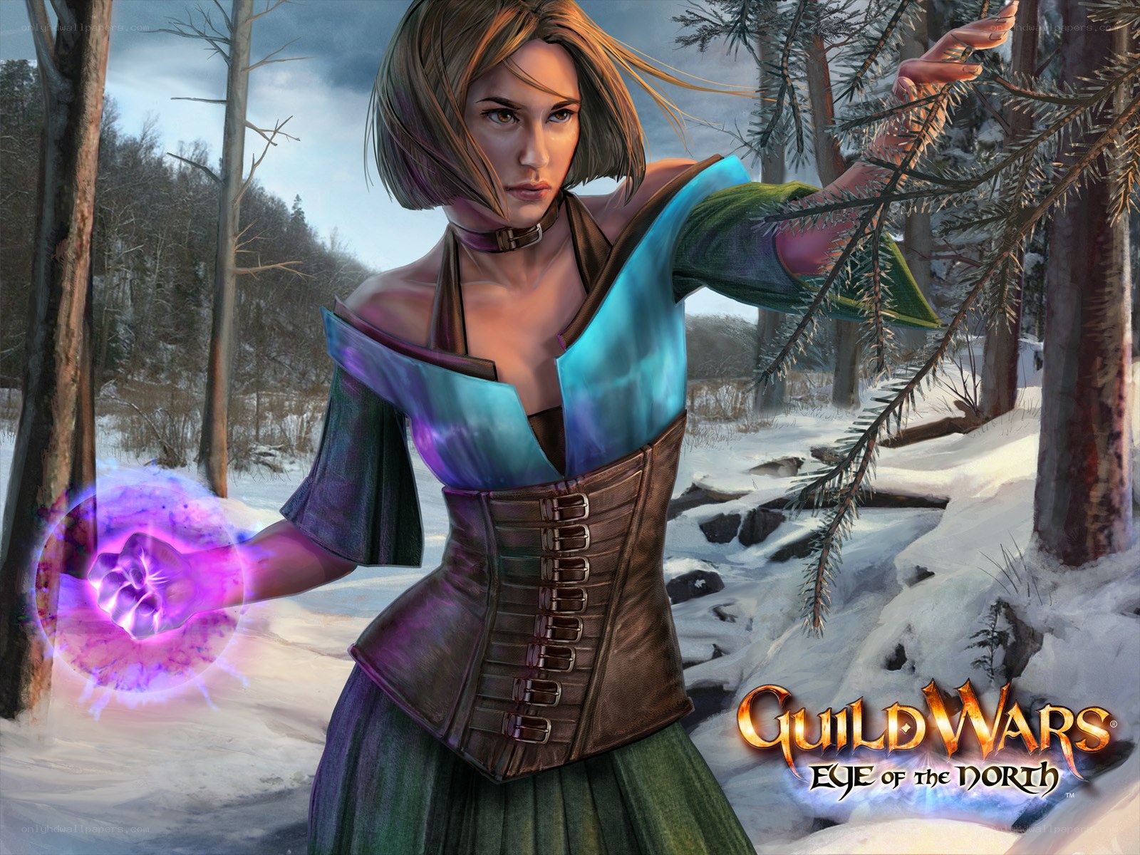 mage in snowy forest