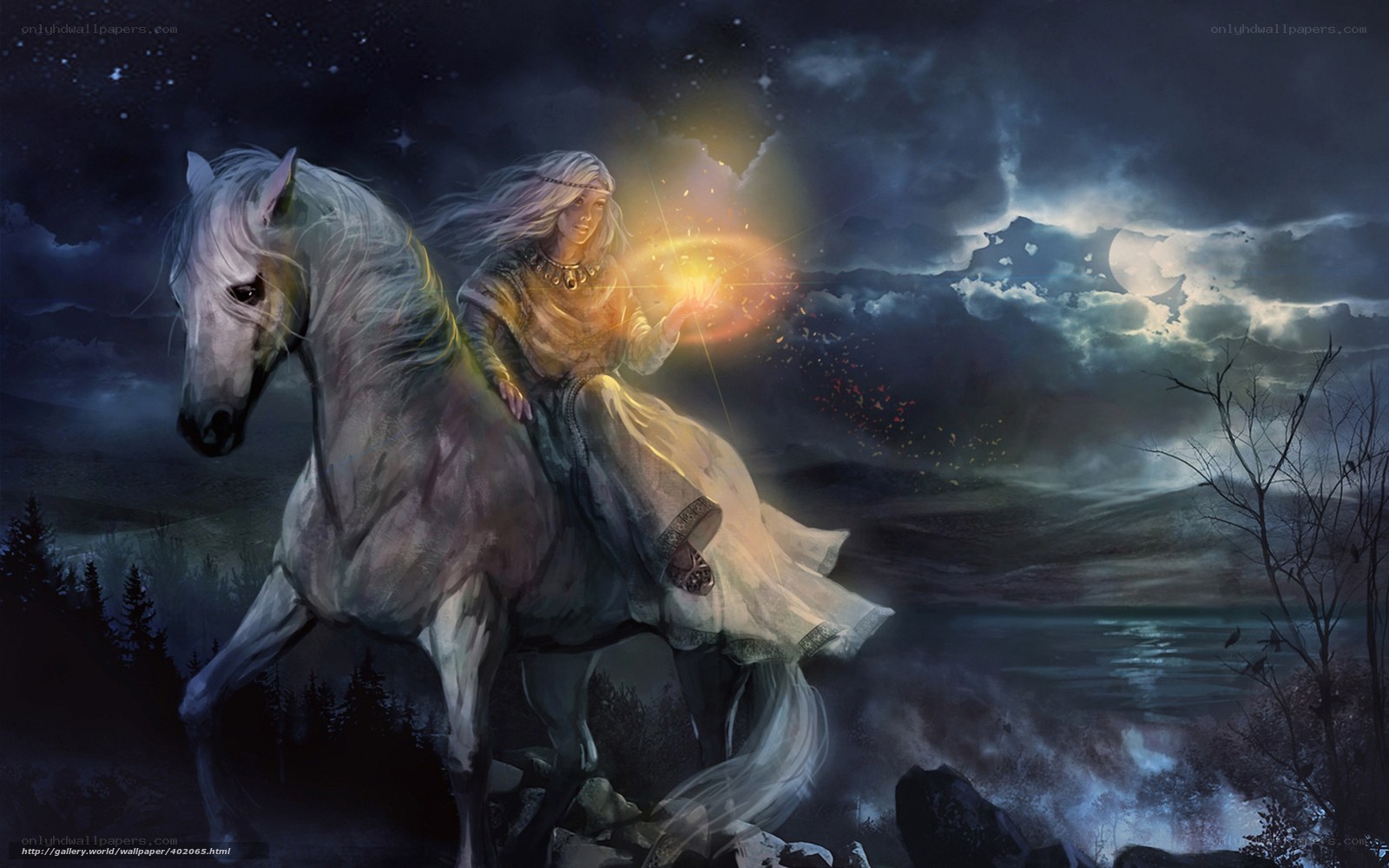 mage on a white horse