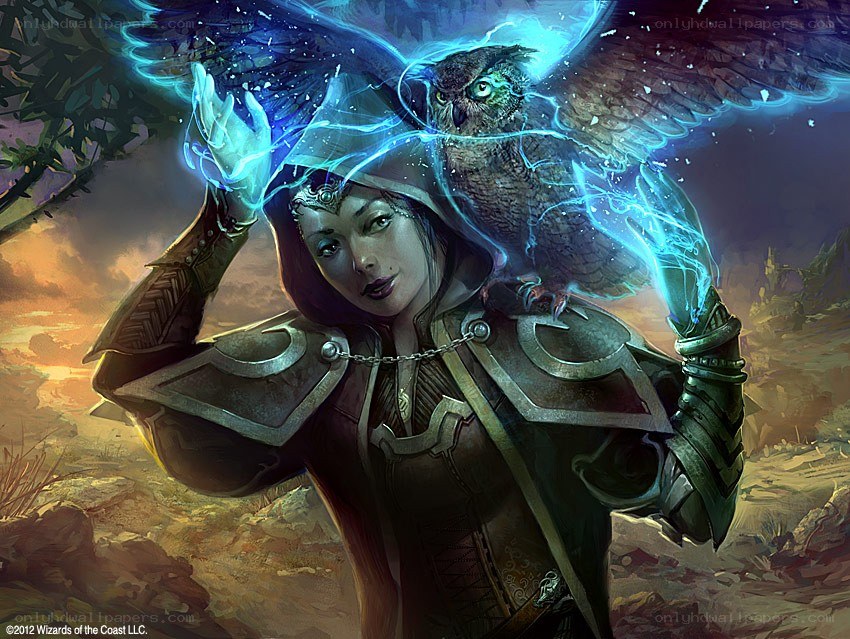 mage with owl companion