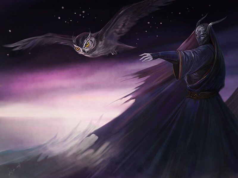 mage with owl companion