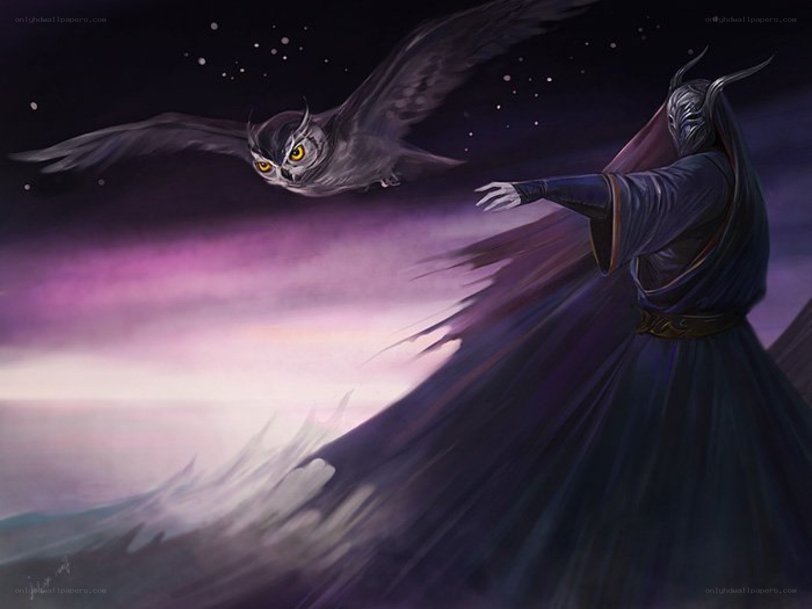 mage with owl companion