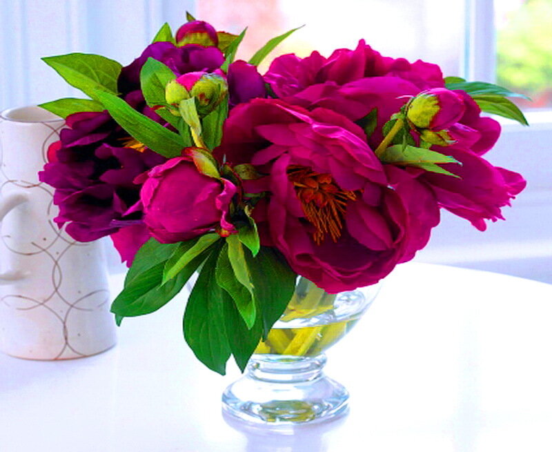 Magenta Peonies in Vase