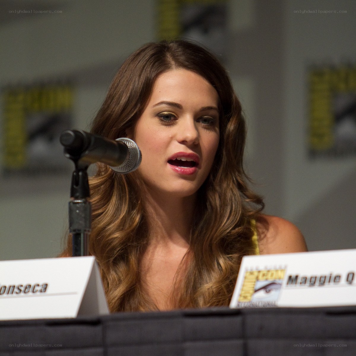Maggie Q at a panel