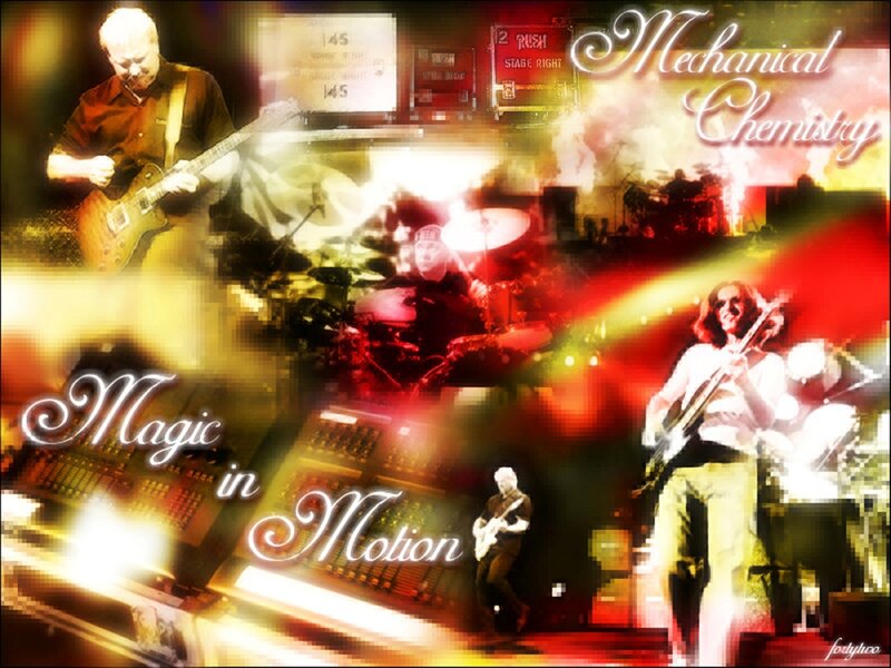 Magic in Motion