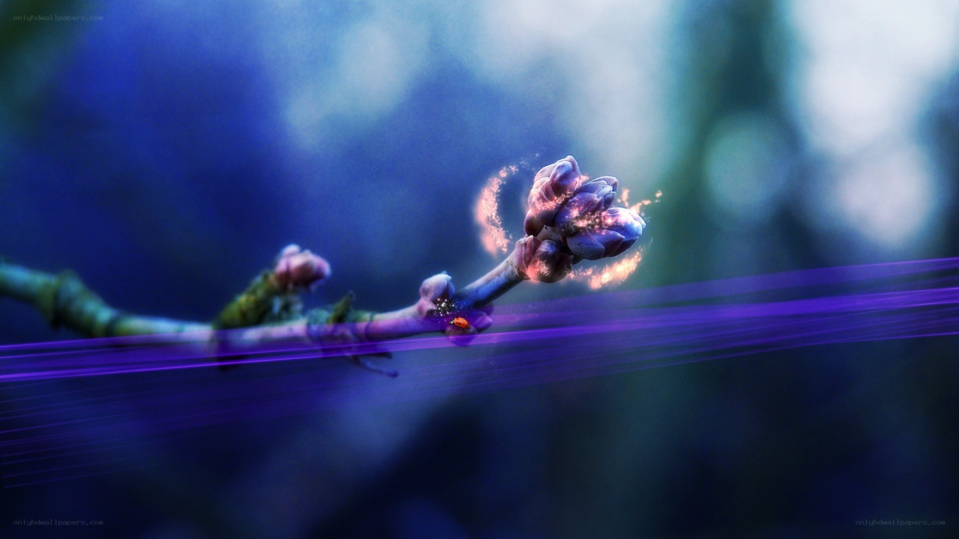 magical flower bud on branch