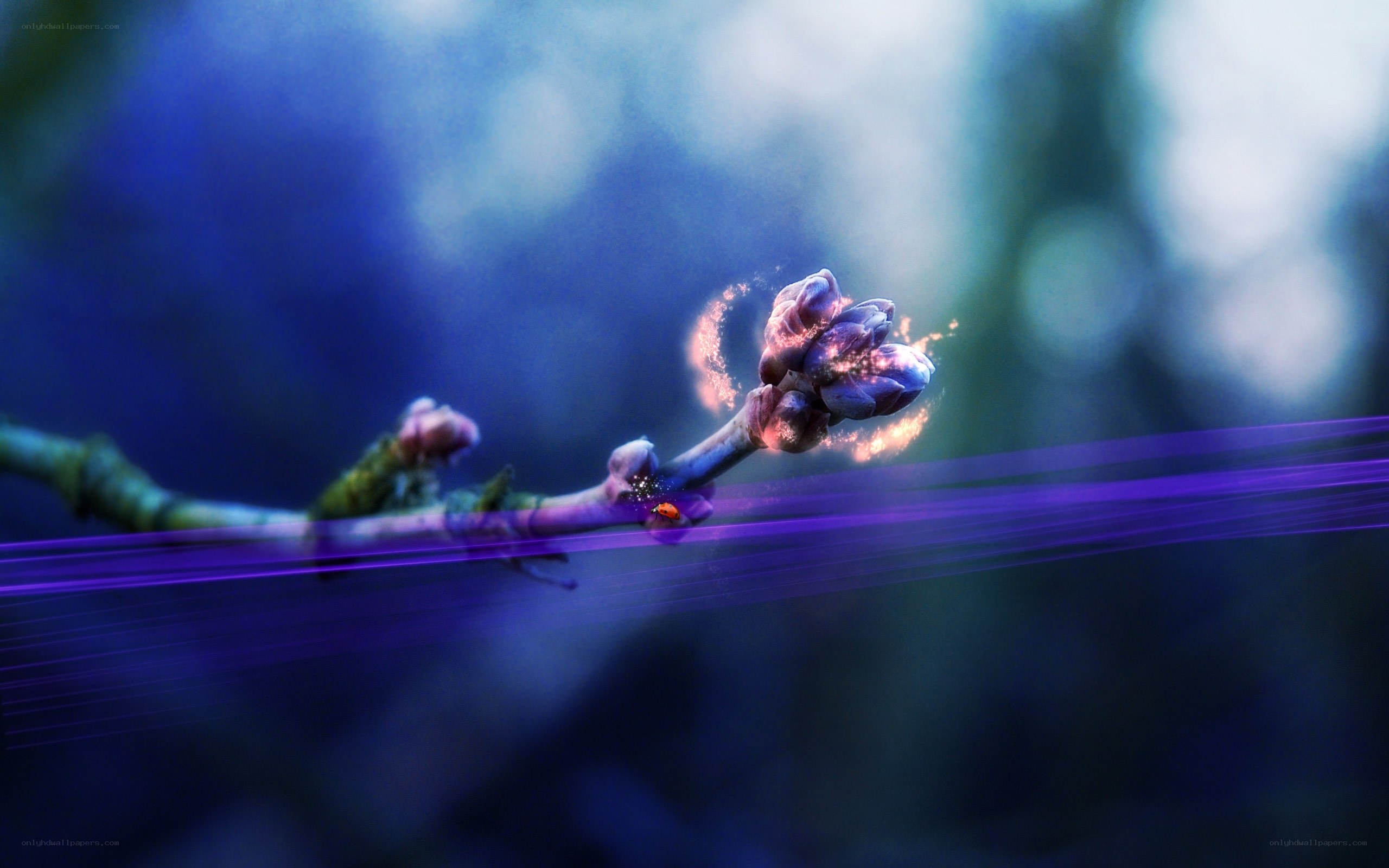 Magical flower bud on branch