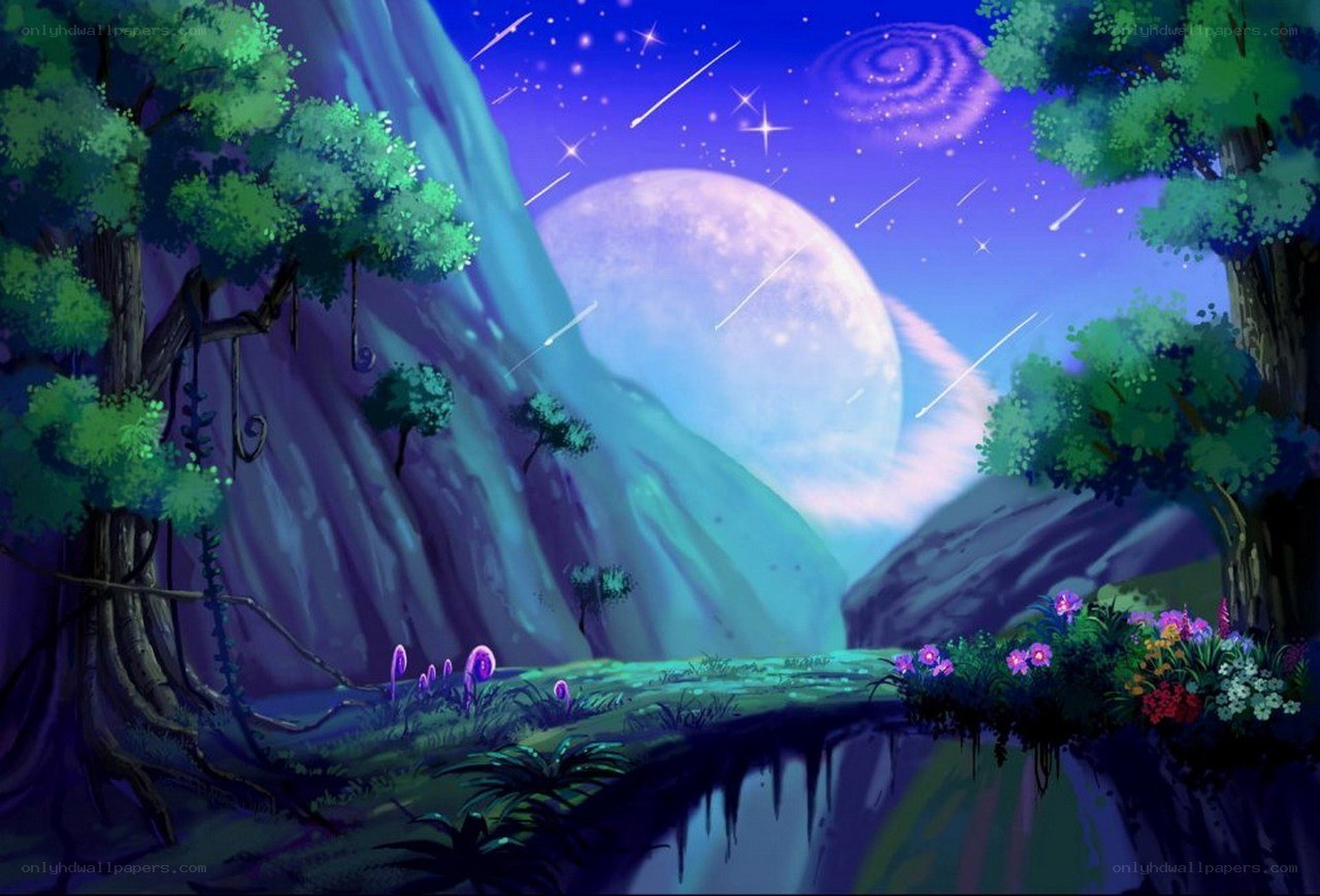 magical forest at night
