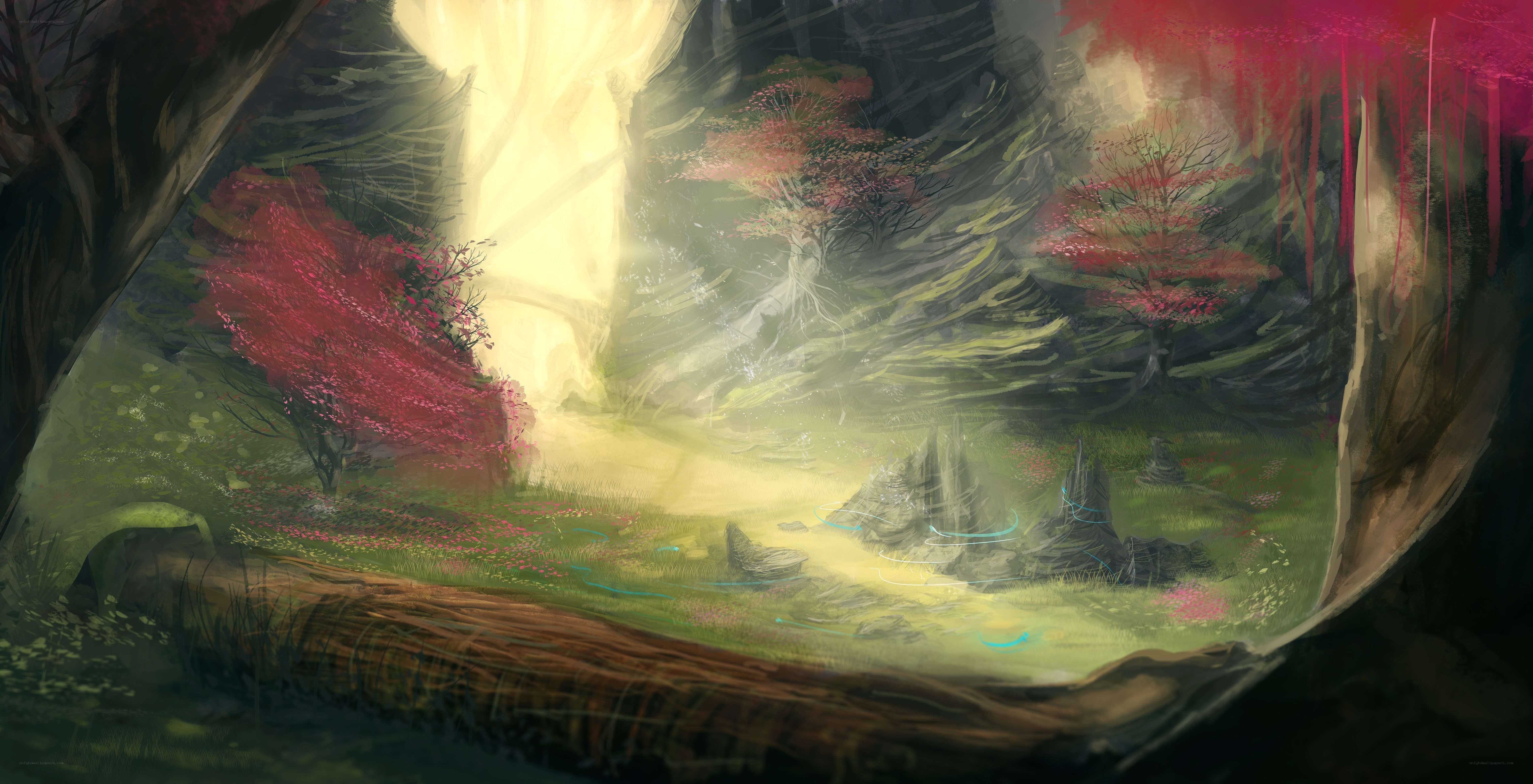 magical forest clearing