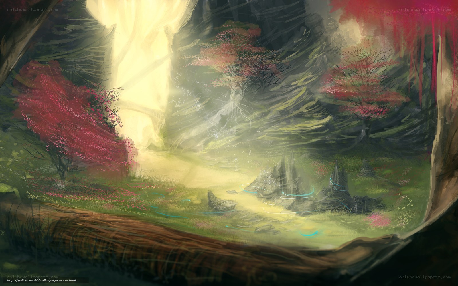 magical forest clearing