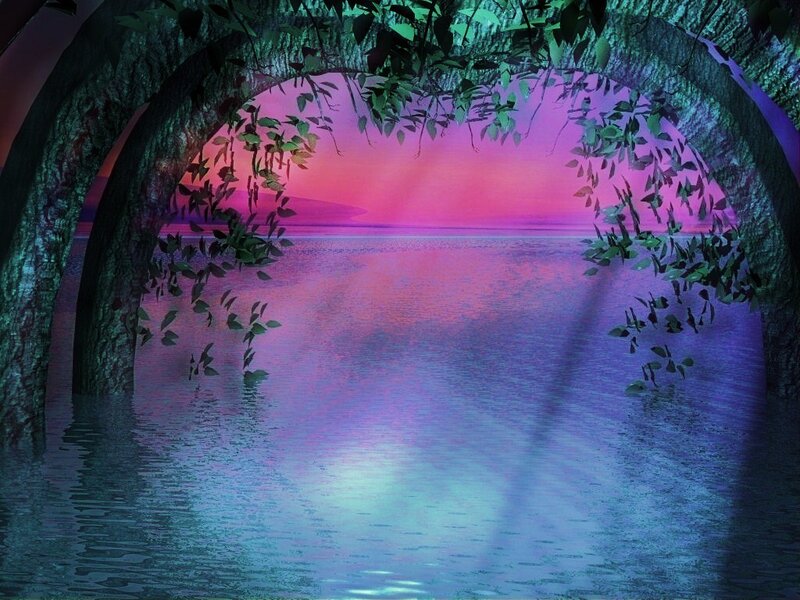 magical forest lake at sunset