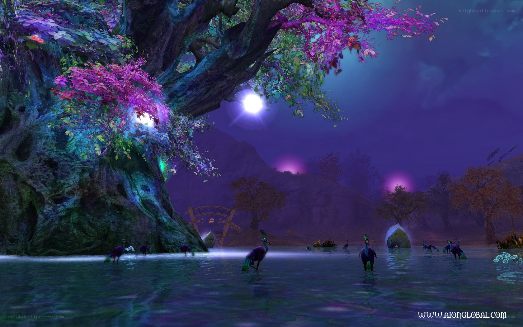 magical forest lake scene