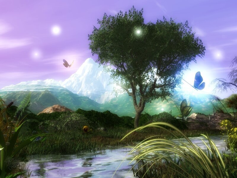 magical forest landscape
