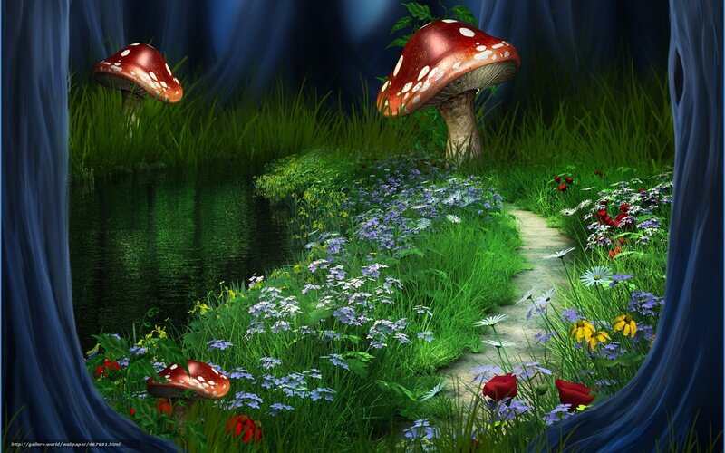 Magical forest path