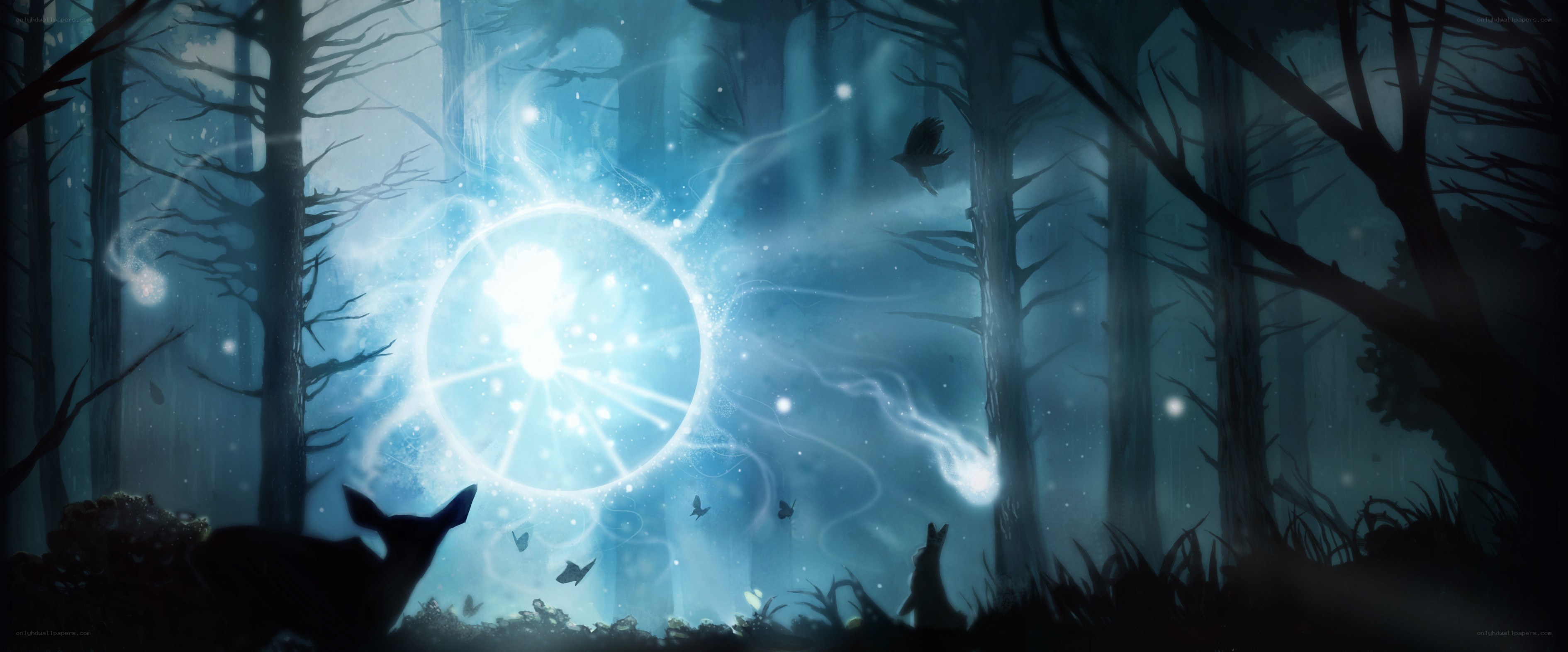 magical forest portal