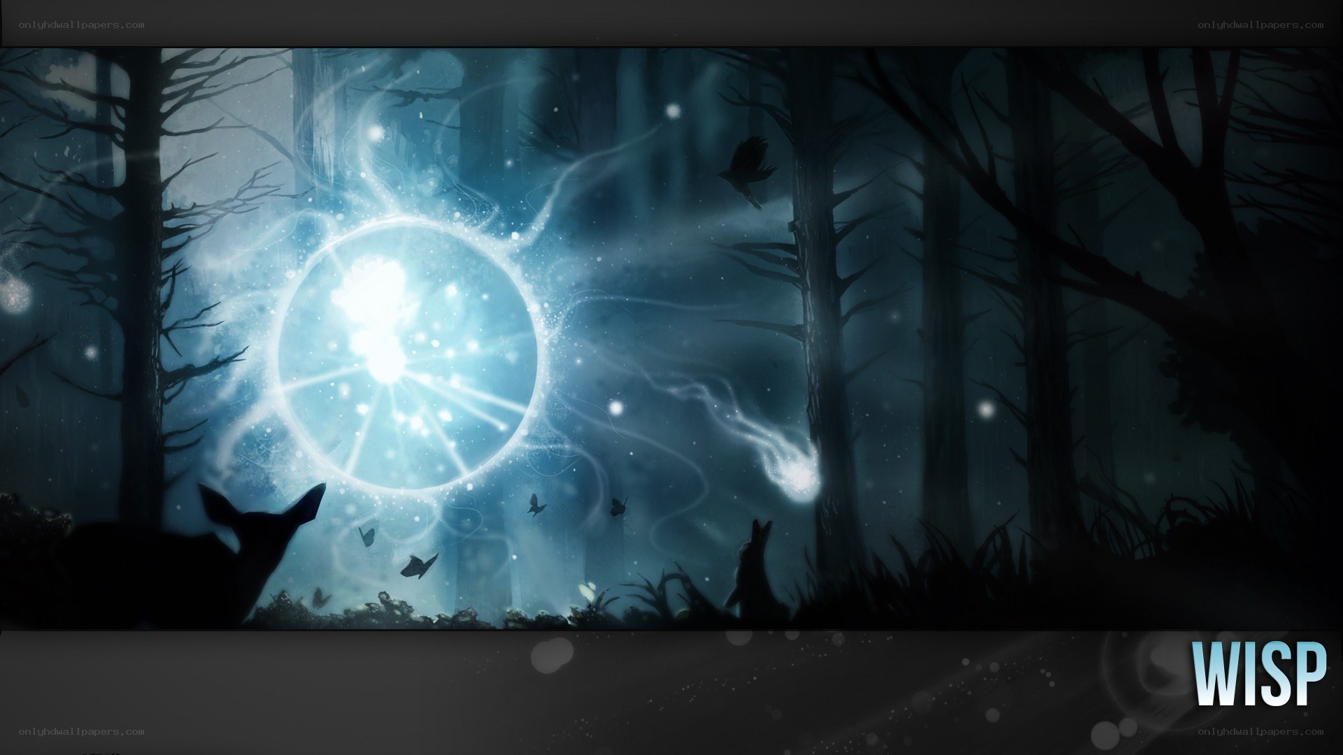 magical forest portal