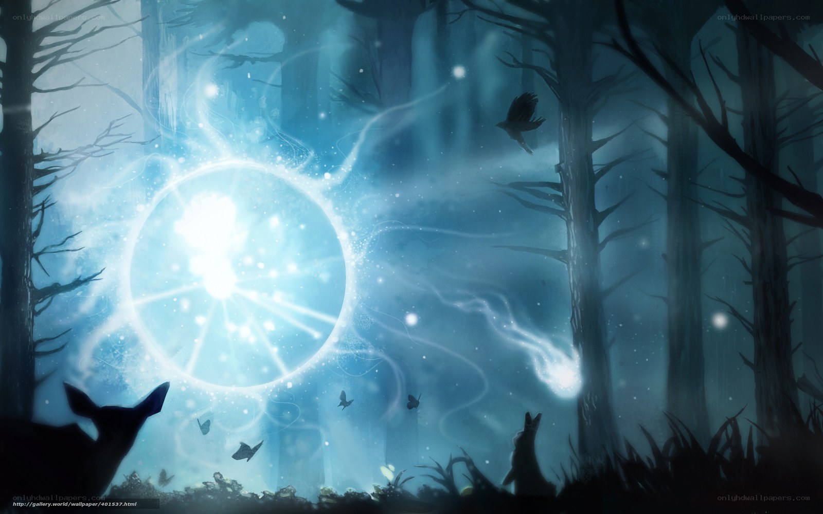 magical forest portal