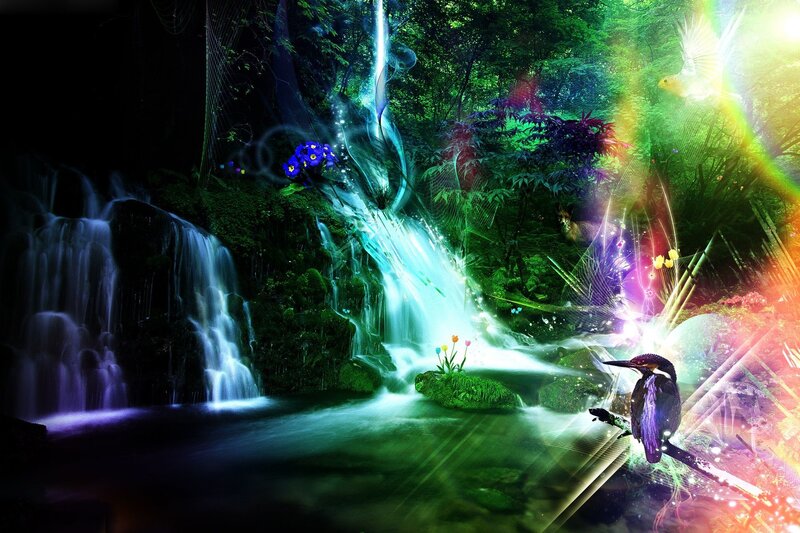 magical forest waterfall scene