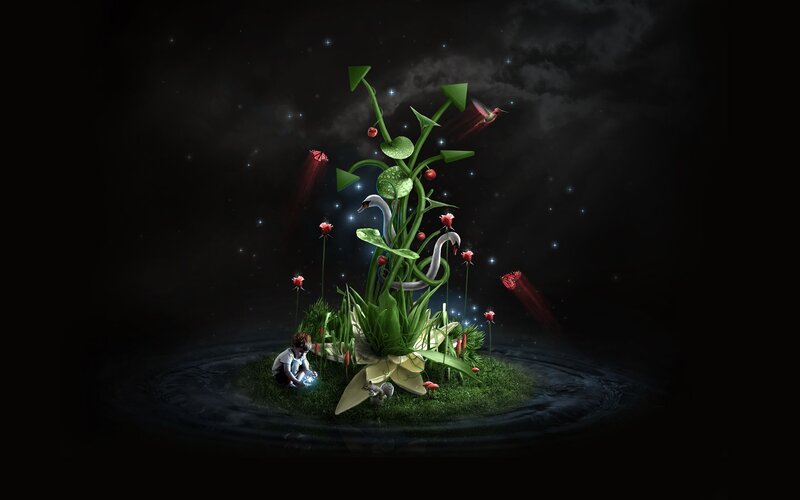 magical garden in darkness