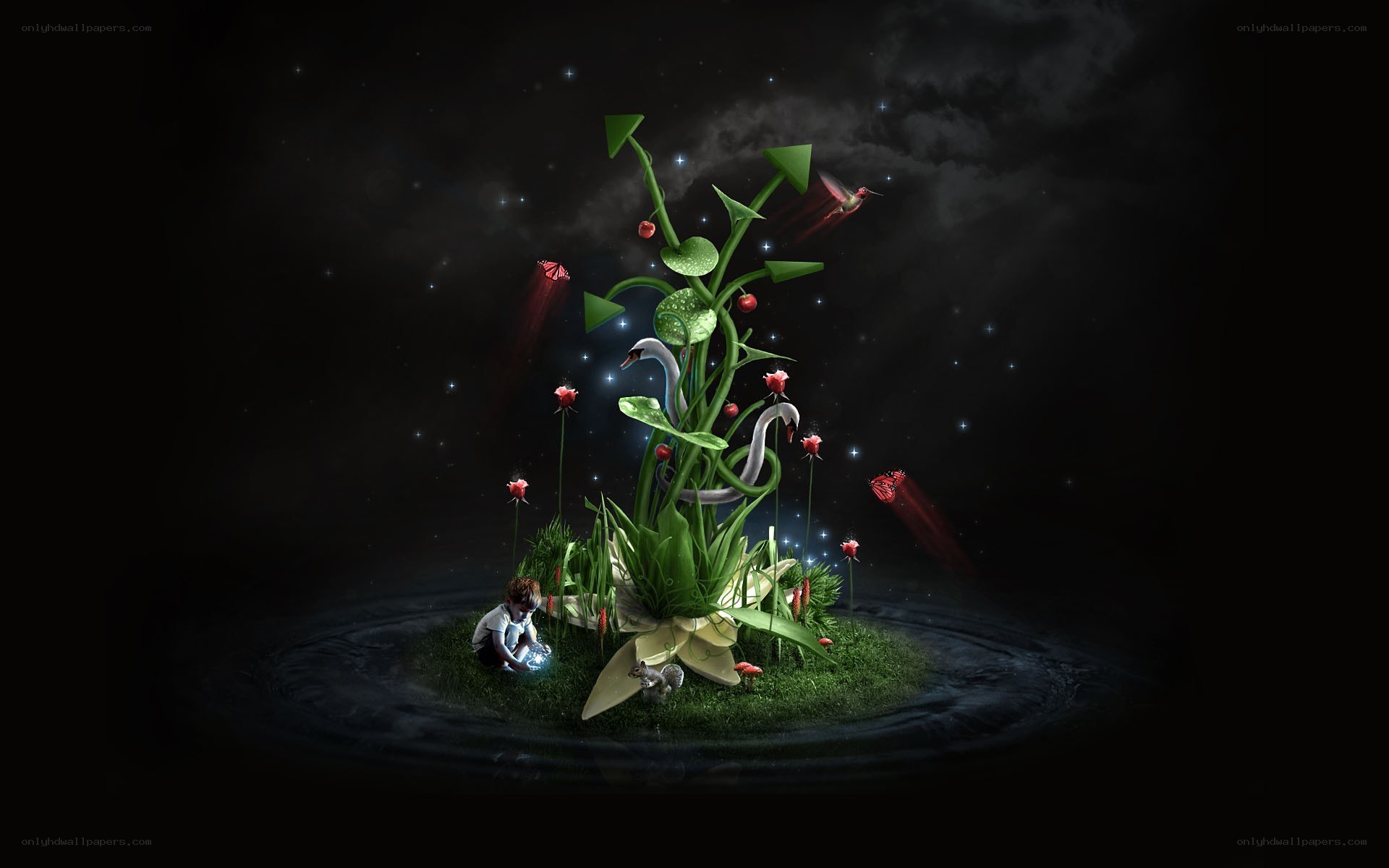 magical garden in darkness