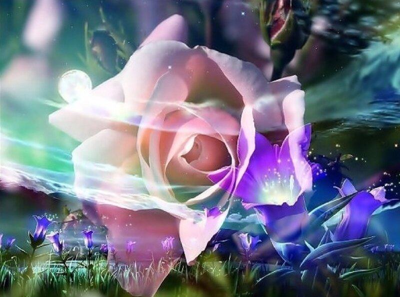 magical rose garden