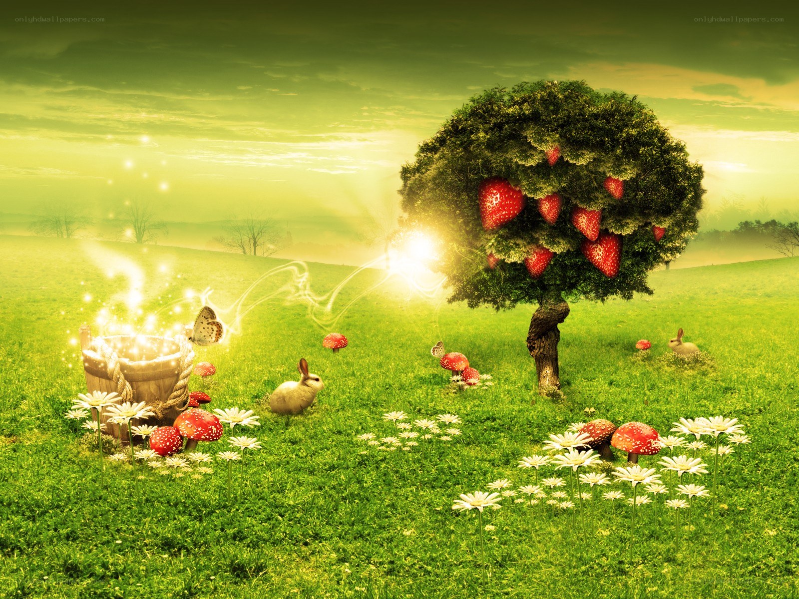 Magical strawberry tree field