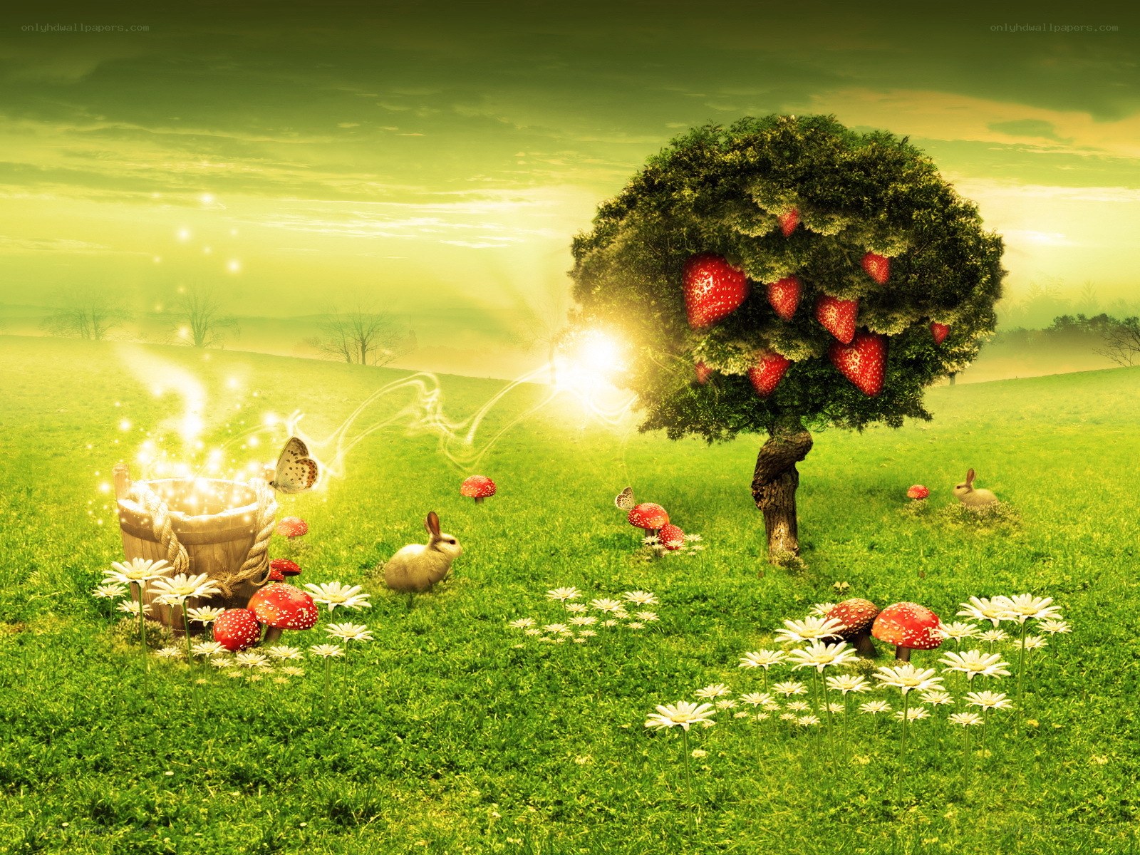 magical strawberry tree field