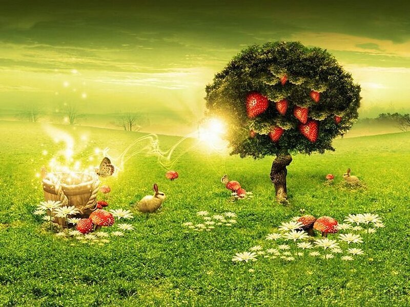 magical strawberry tree field