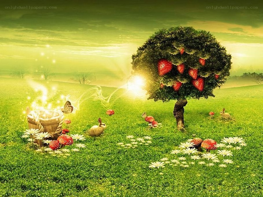 magical strawberry tree field