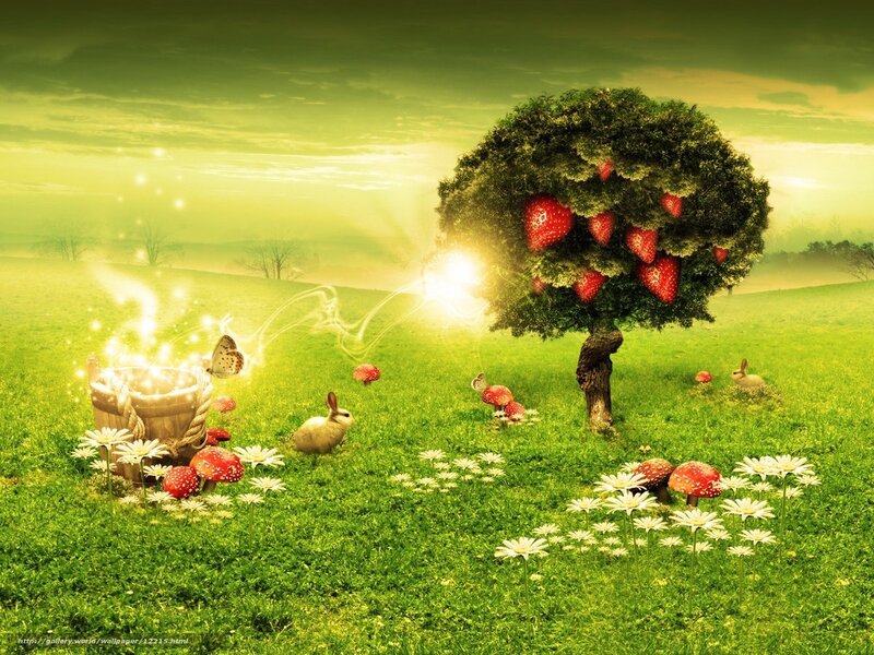 Magical strawberry tree field